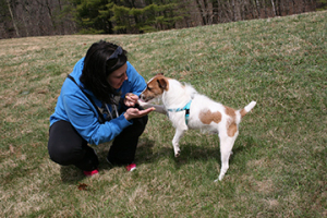 Getting low and rewarding with a treat for recall is inviting and works.