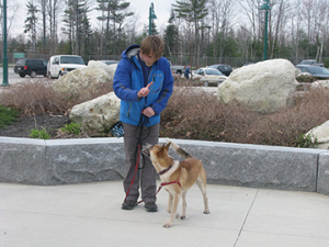 Maisey's dad has a soft tone, loose leash and is smart to tell her what she is doing right!