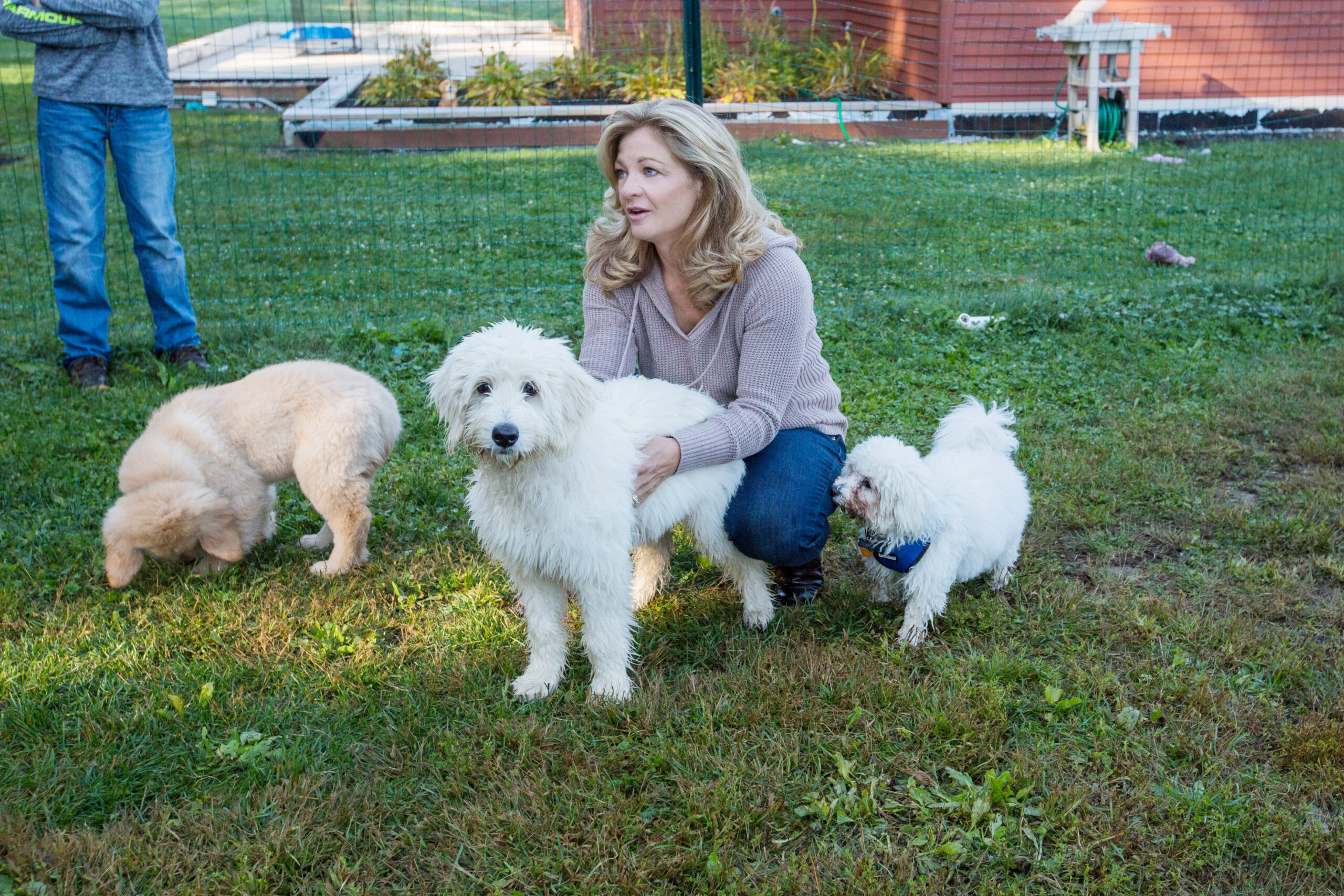 Canine Flexeril Use: Risks & Rewards Explained - axoy3ua